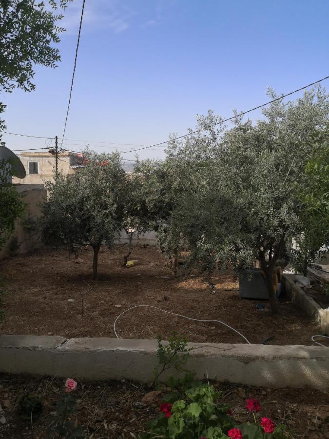 White Tulips Apartment الزنبقة البيضاء Gérasa Exterior foto