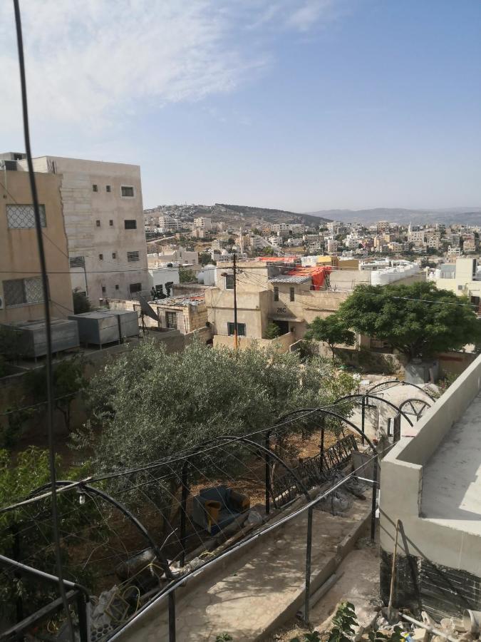 White Tulips Apartment الزنبقة البيضاء Gérasa Exterior foto