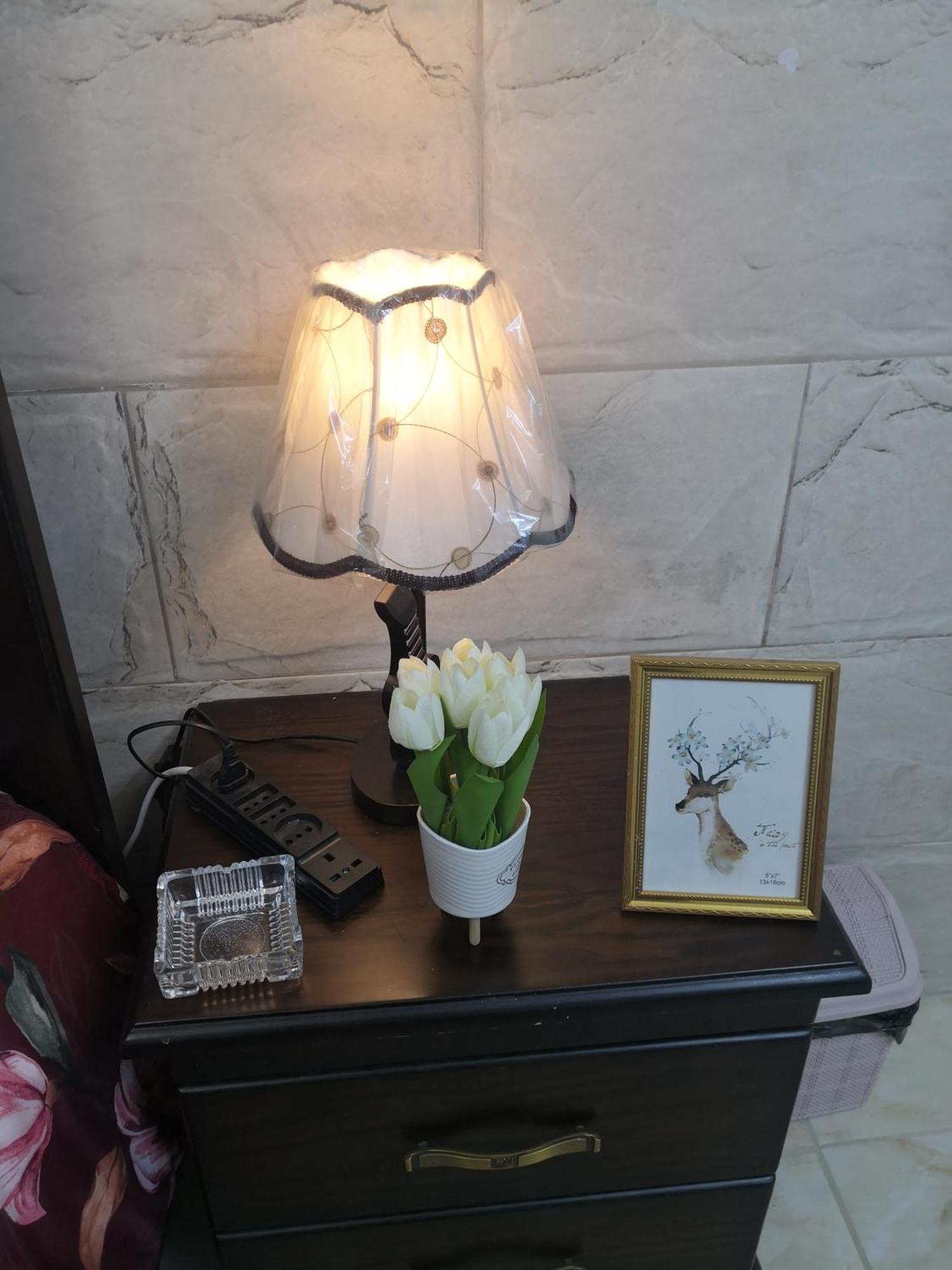 White Tulips Apartment الزنبقة البيضاء Gérasa Exterior foto