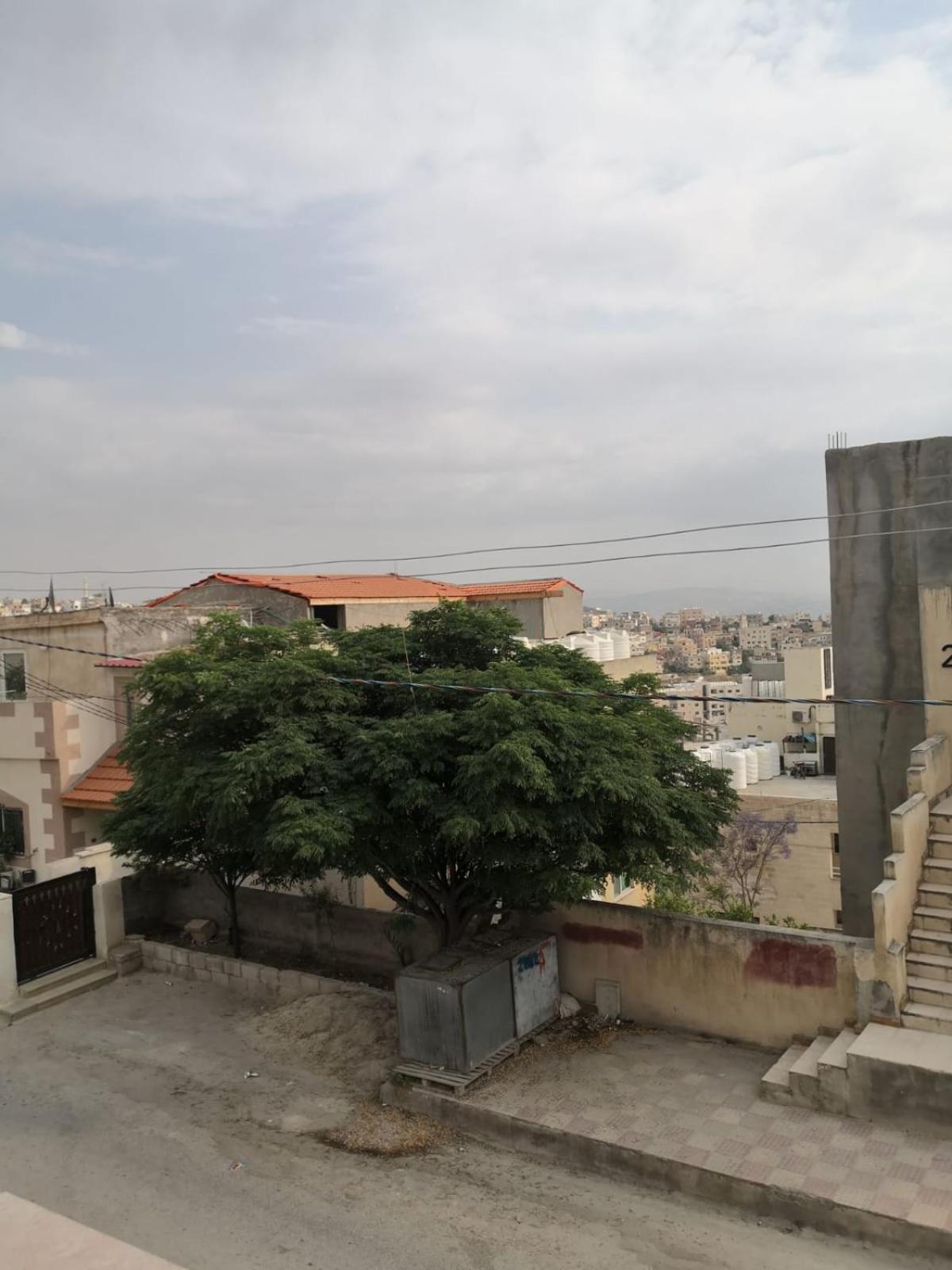 White Tulips Apartment الزنبقة البيضاء Gérasa Exterior foto