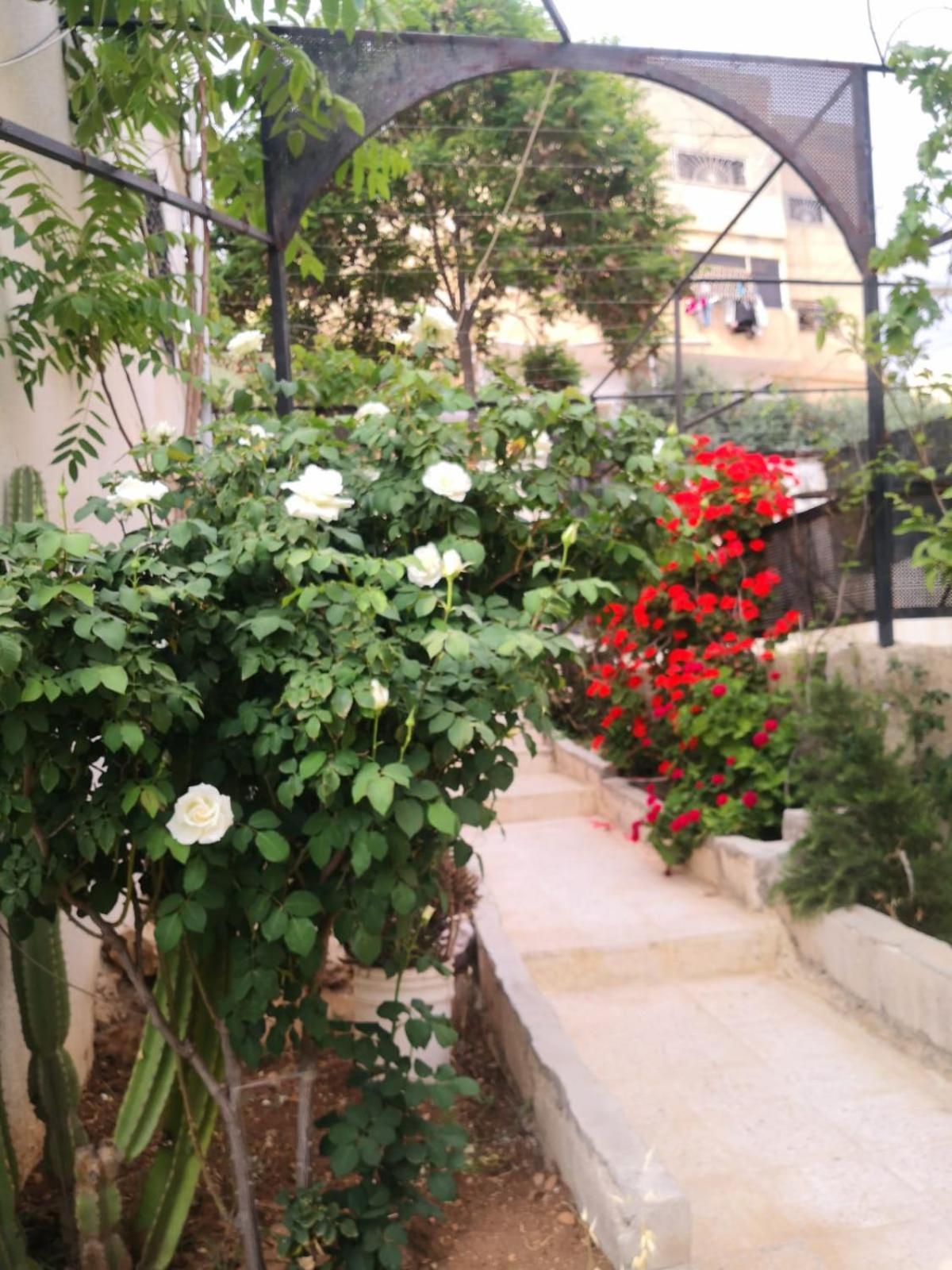 White Tulips Apartment الزنبقة البيضاء Gérasa Exterior foto