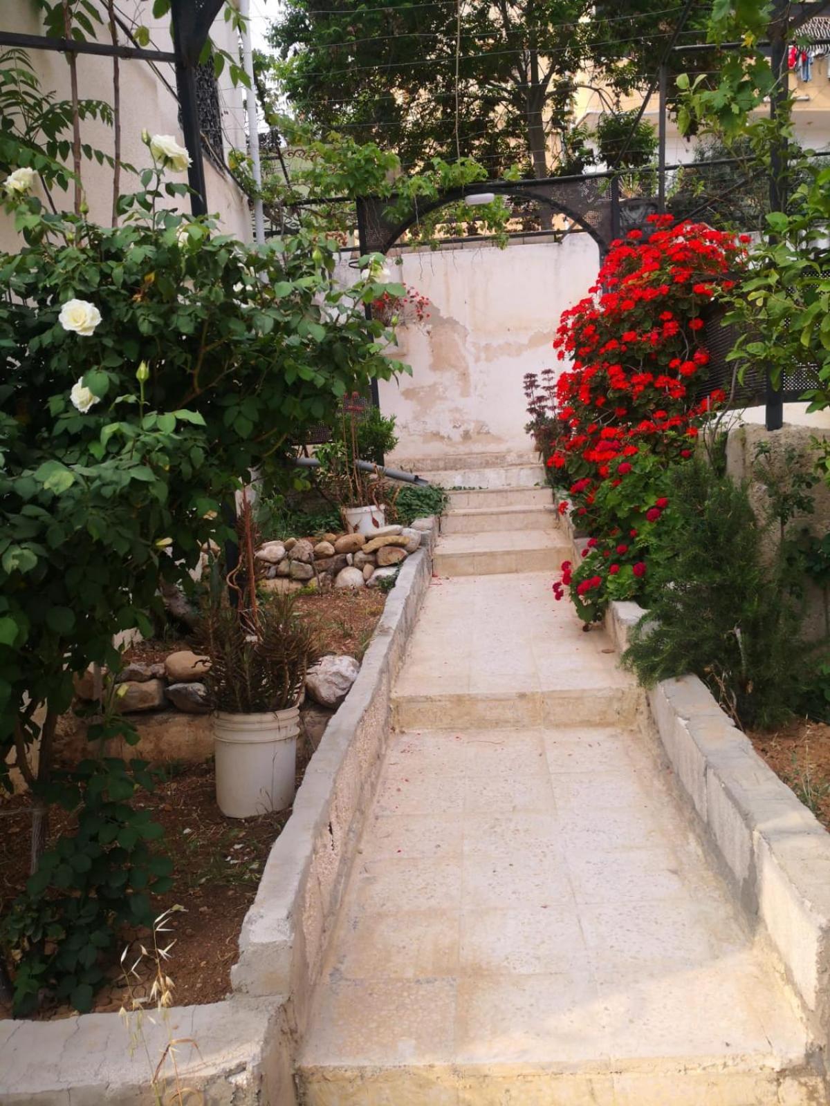 White Tulips Apartment الزنبقة البيضاء Gérasa Exterior foto